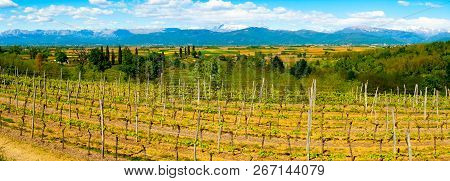 Panoramic View Of Vineyards With Mountains In The Distance From Buttrio, Udine, Friuli, Italy