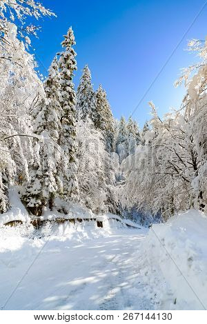Vertical View Of The Road To Fusine Lakes In The Mangart Mountain Range, Fusine, Tarvisio, Friuli Ve