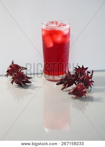 Oselle Hibiscus Sabdariffa Red Fruit Flower Used For Making Tea Or Syrup.juice