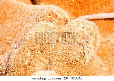 Copper Red Polluted Lake Mine In Gossan Cobre Huelva Spain