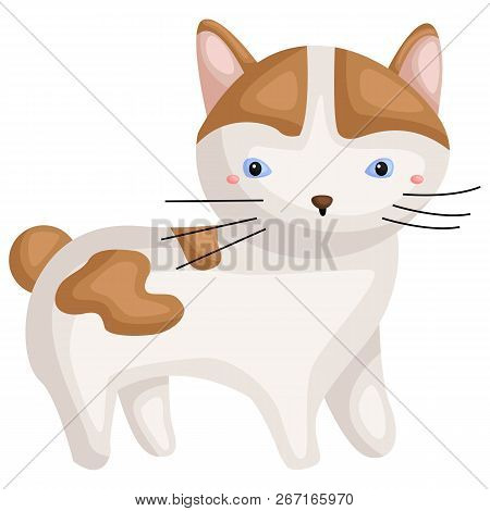 A Vector Of A Japanese Bobtail Cat