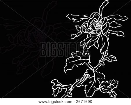 Blomma B&W