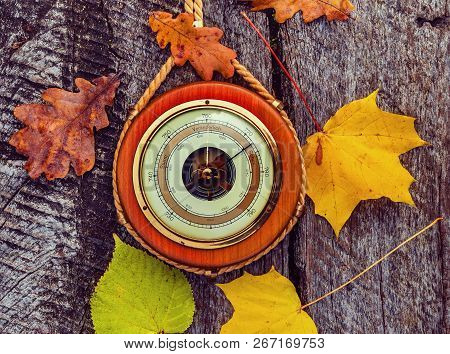 Old Barometer, Autumnal Leaves Are On Textured Wooden Surface. Concept Of Forecasting. Translations 