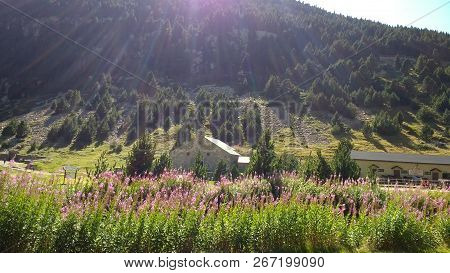 Nature In Nuria Valley In Spanish Pyrenees.