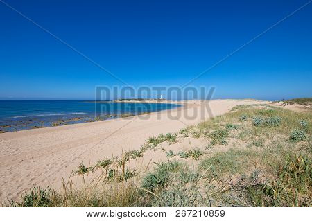 Beautiful Wild Varadero Beach And Trafalgar Cape In Cadiz