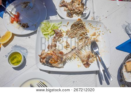 Fishbone Of A Eaten Fish Known As Donkey Or Borriquete (plectorhinchus Mediterraneus) In Spain, In W