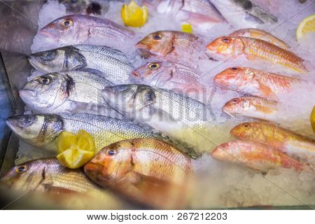 Fresh Fish Varied In Ice