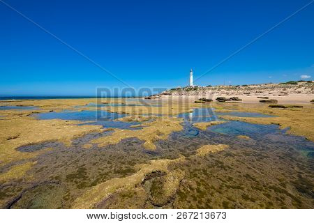 Low Tide Rocky Seaside In Trafalgar Cape With Lighthouse Reflected