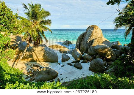 Tropical Beach Seychelles Called 