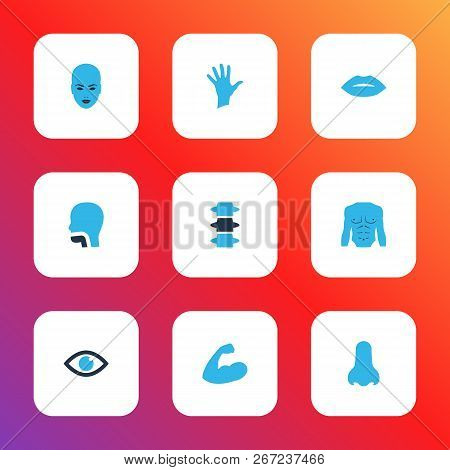 Part Icons Colored Set With Lips, Nose, Eye And Other Smell Elements. Isolated Vector Illustration P