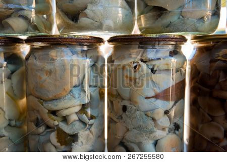 Pickled Milk Mushrooms In Jars At Village Marketplace