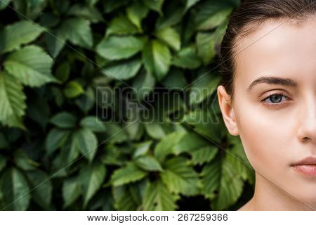 Cropped Face Of Young Woman With Green Leaves At Background