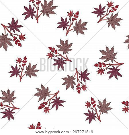 Castorbean Seamless Pattern. Hand Drawn Vector Illustration