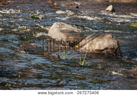 Waterfalls In Summer. Clear And Fresh Water Are Falling Down. Tints Of Green, Blue And White. There 