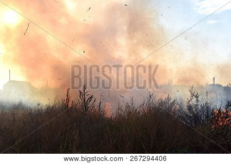 Ignition Of Dry Grass And Reeds Near Residential Buildings.