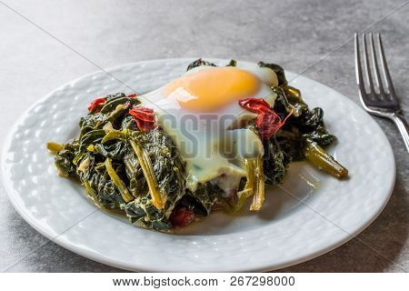 Turkish Food Spinach With Egg