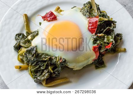 Turkish Food Spinach With Egg
