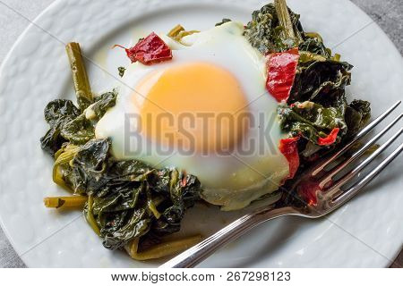 Turkish Food Spinach With Egg