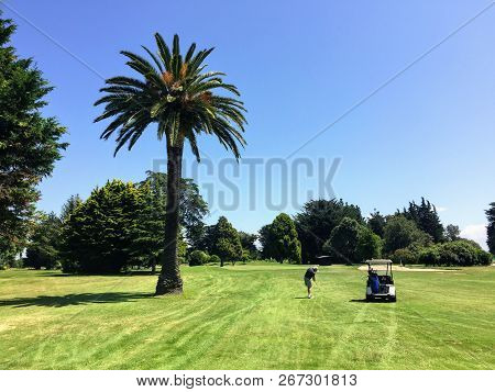 Napier, North Island, New Zealand - February 14th, 2016: A Tourist Visiting Napier Playing Golf On A