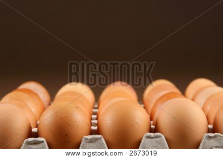 계란 트레이