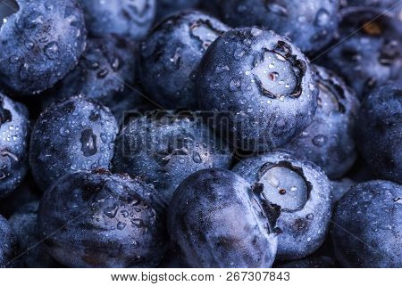 Fresh Ripe Blueberries With Drops Of Dew. Berry Background. Macro Photo.