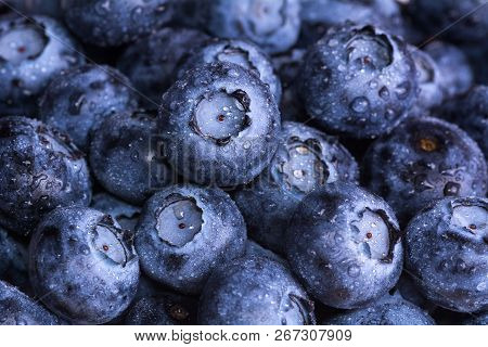 Fresh Ripe Blueberries With Drops Of Dew. Berry Background. Macro Photo.