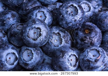 Fresh Ripe Blueberries With Drops Of Dew. Berry Background. Macro Photo.
