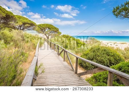 Landscape Of Footbridge On Beach In Cadiz