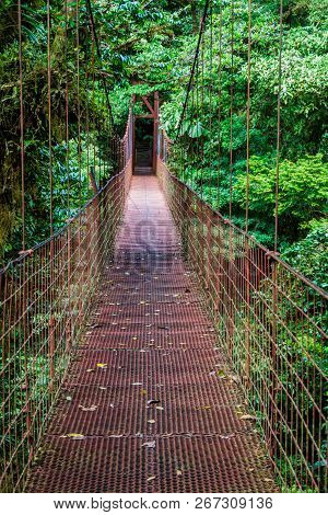 Suspension Bridge In The Cloud Forest Of Reserva Biologica Bosque Nuboso Monteverde, Costa Rica