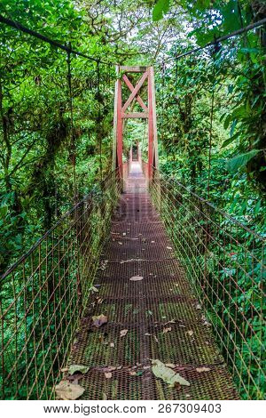 Suspension Bridge In The Cloud Forest Of Reserva Biologica Bosque Nuboso Monteverde, Costa Rica