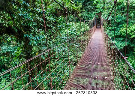 Suspension Bridge In The Cloud Forest Of Reserva Biologica Bosque Nuboso Monteverde, Costa Rica