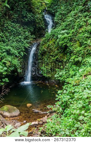 San Luis Waterfall In A Cloud Forest Of Reserva Biologica Bosque Nuboso Monteverde, Costa Rica