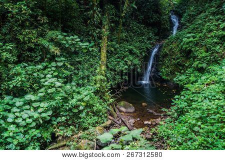 San Luis Waterfall In A Cloud Forest Of Reserva Biologica Bosque Nuboso Monteverde, Costa Rica