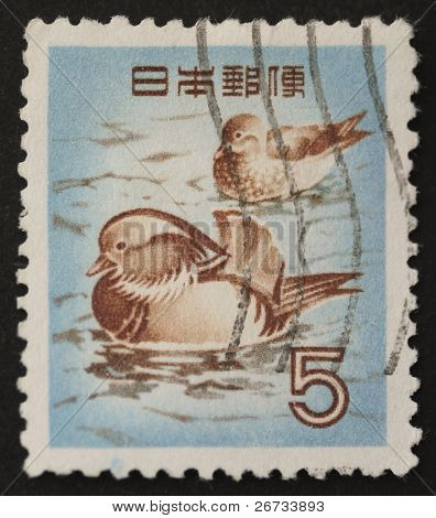 Japonia - około 1955: znaczek wydrukowany w Japonii pokazuje obraz kaczki mandarynki, typowym orientalne pa