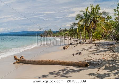 Beach In Cahuita National Park, Costa Rica