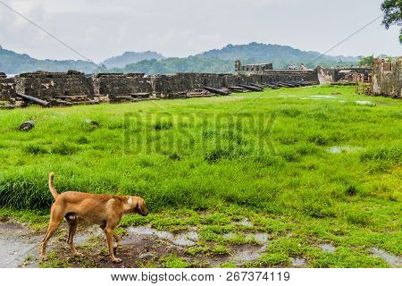 Fuerte San Jeronimo Fortress In Portobelo Village, Panama