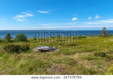 The Coastal Strip Of The White Sea And Tundra Vegetation On The Island Of Anzersky