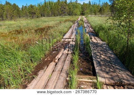 A Road Through A Bog Planked On Anzersky Island, Arkhangelsk Region, Russia