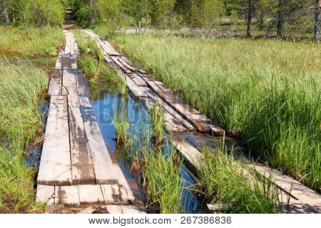 A Road Through A Bog Planked On Anzersky Island, Arkhangelsk Region, Russia