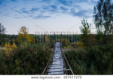 Wooden Pedestrian Suspension Bridge Over The River In The Forest. Bryansk. Сentral Russia