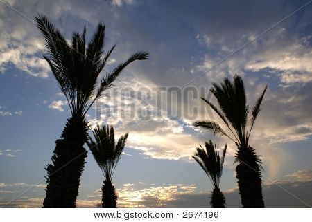Pôr do sol no deserto