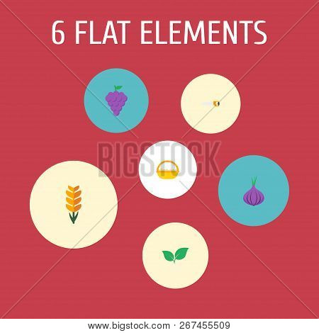 Set Of Agricultural Icons Flat Style Symbols With Handsaw, Ear Of Wheat, Onion Icons For Your Web Mo
