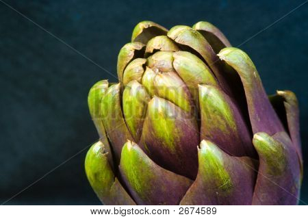 Carciofo