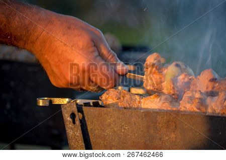 Natural Wood Fire For Bbq, Mangal Fire To Outdoor. Mangal Fire, Nature Fireplace, Nice Hd Real Fire.