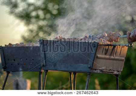 Natural Wood Fire For Bbq, Mangal Fire To Outdoor. Mangal Fire, Nature Fireplace, Nice Hd Real Fire.