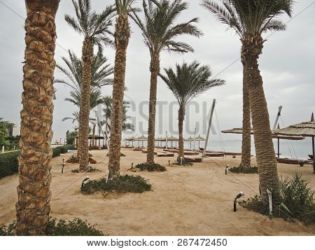 Cozy Beach With Coconut Trees On The Sea In Cloudy And Gloomy Weather