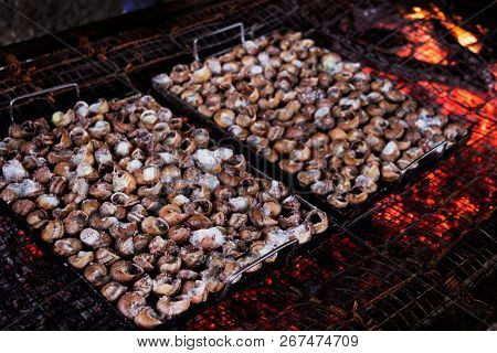 closeup of some trays of caragols a la llauna, a recipe of snails typical of Catalonia, Spain, being cooked on a firewood