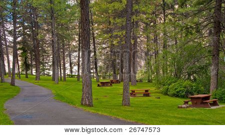 Area picnic bella Thompson river, Canada.