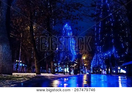 Walk With Street Lamps At Night Cityscape