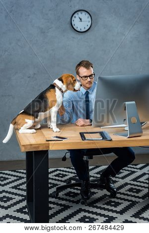 High Angle View Of Handsome Businessman In Eyeglasses Working On Computer While Dog Sitting Near At 